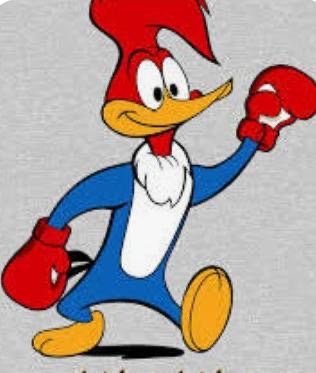 Juguetería El Pájaro Loco